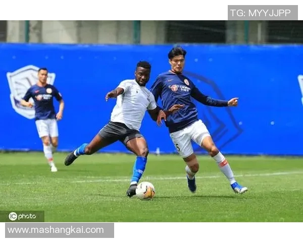 百色足球队球星名单正式公布 新阵容亮相备战新赛季